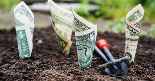 Geld erde boden schauffel braun grün