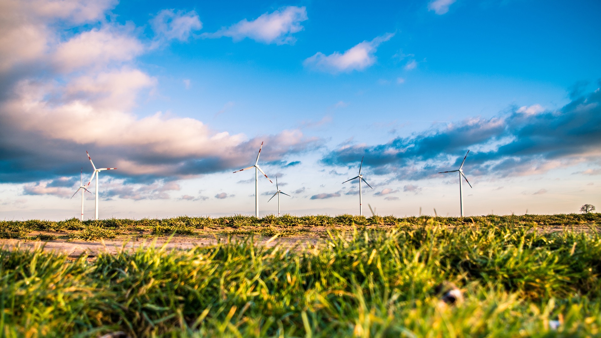 Windräder Windfarmen Energie draussen Natur Rasen Himmel grün blau