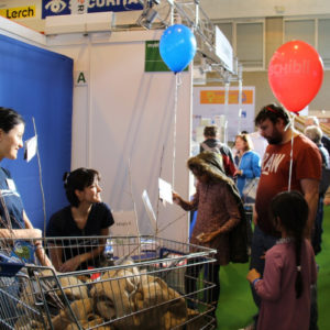 Mybluetree_Event_Stand_Einkaufswagen Setzlinge Bäume erklären Kinder Ballon