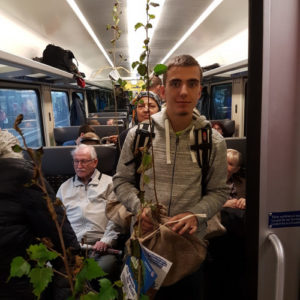 Mybluetree Setzlinge Personen Menschen im Zug
