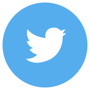 Icon Twitter rund blau weiss