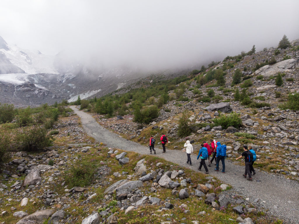 I AM PRO SNOW wandern Nebel Wald Bäume
