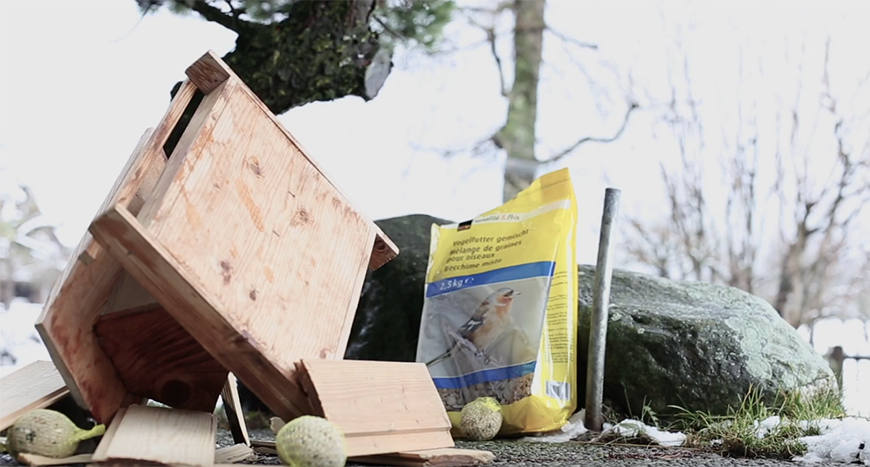 Vogelhaus zerstört Vogelfutter kalt Winter draussen