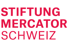 Logo Stiftung Mercator Schweiz rosa rot ohne Hintergrund