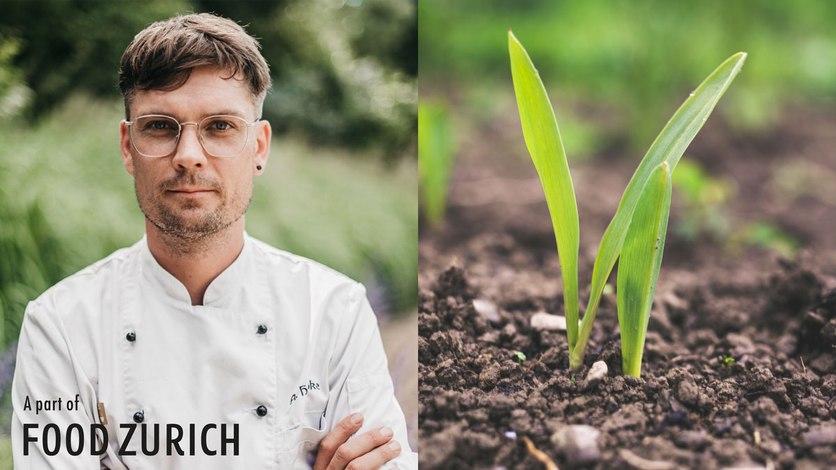 Portrait Koch und Bild Pflanze braun grün Natur Hintergrund