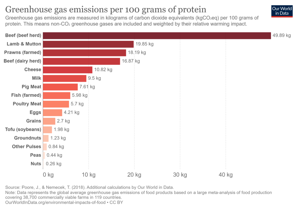 Grafik der CO2 Emissionen von Proteinen