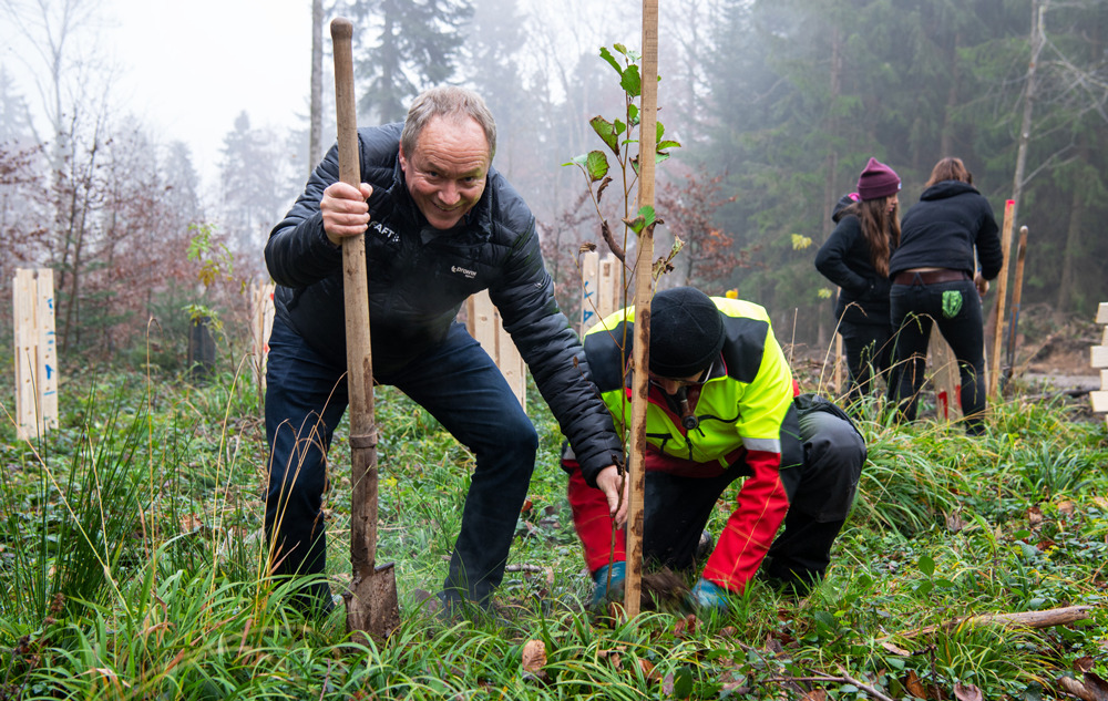 Bild Baum pflanzen Schweiz Community Day Förster Herbst