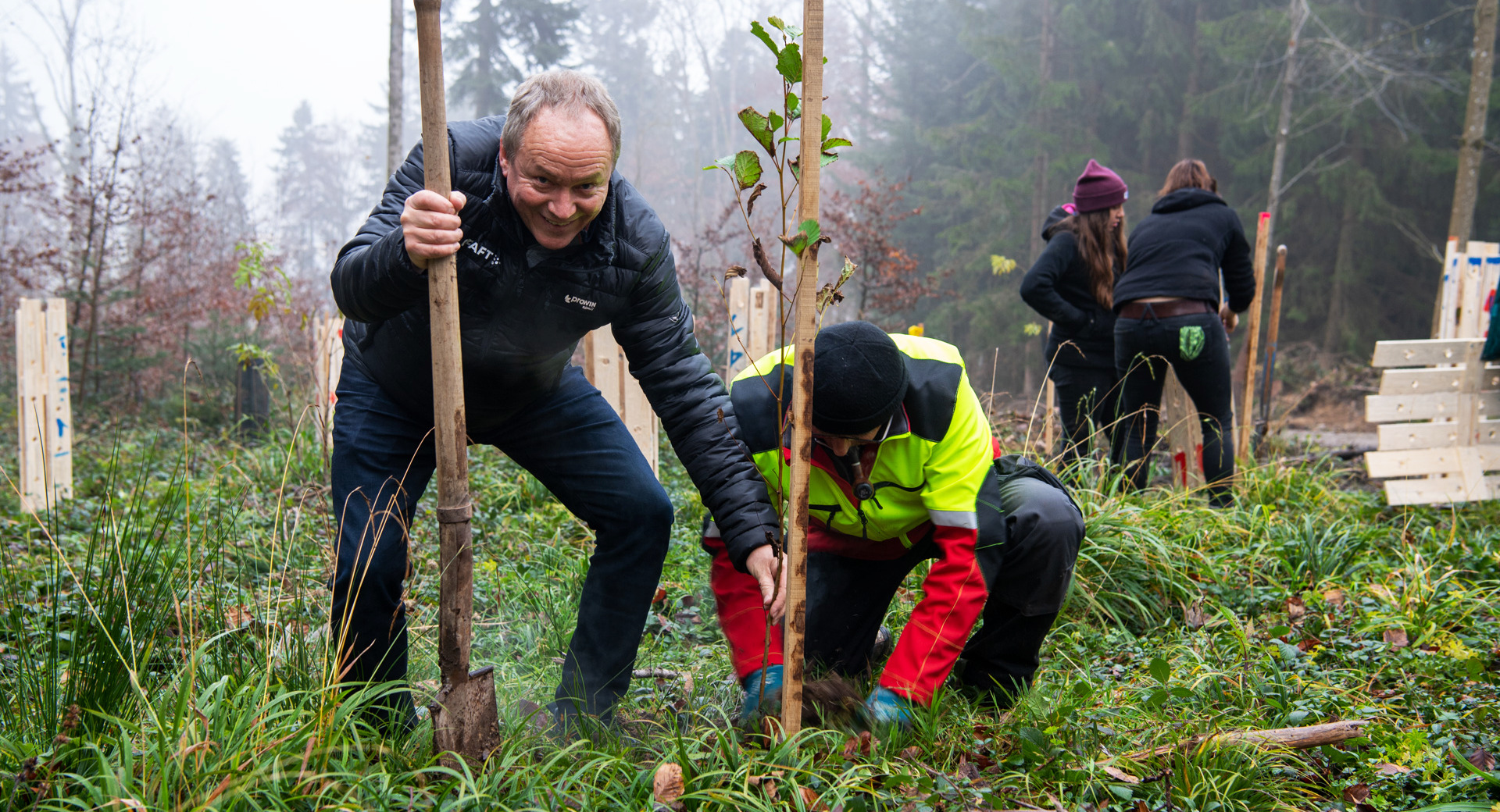 Bild Baum pflanzen Schweiz